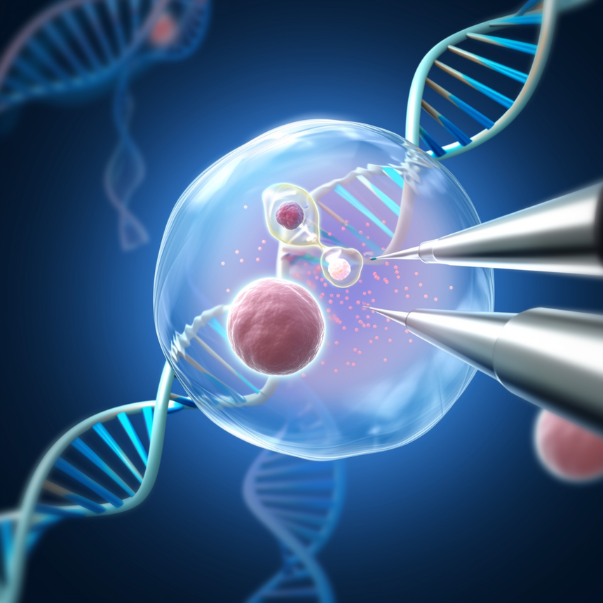 1750751612992714.png AAAAAAAAAAAAAAAAAAAAANUnEmo_3oPyq_naN_DCrG2dP-U6_wvAEOtk9FRThR_90fg (1).png