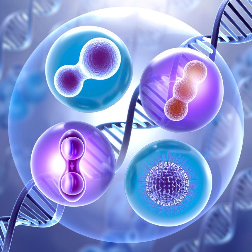 1769996549280649.jpeg 生殖器官四项检测.jpeg