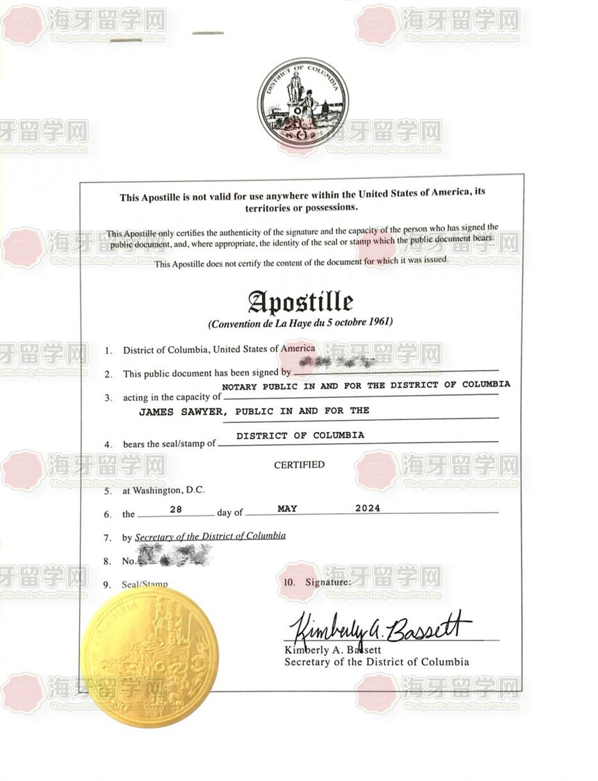 1750487404863560.jpg 美国海牙1_00_副本.jpg