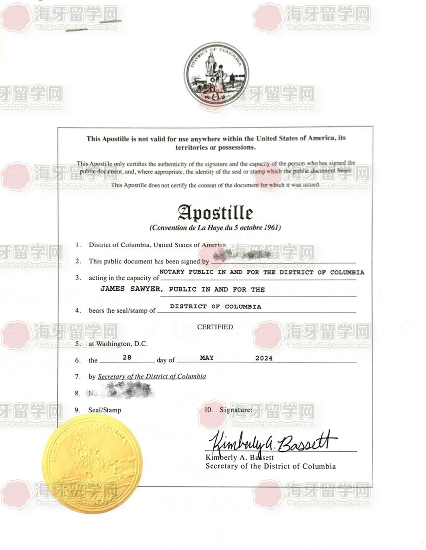 1750487450615236.jpg 美国海牙2_00_副本.jpg