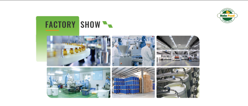 PBfactory750x353.png