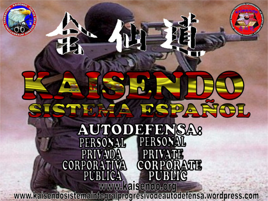 PUBLICIDAD KAISENDO.3.png