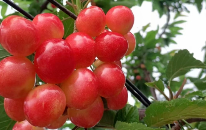 1751693045492272.png 微信截图_20250705132424.png