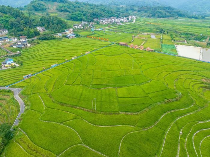 1754399976581173.jpg 6891a1116788e.jpg