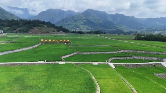 1754399993600407.jpg 6891a113a7839.jpg