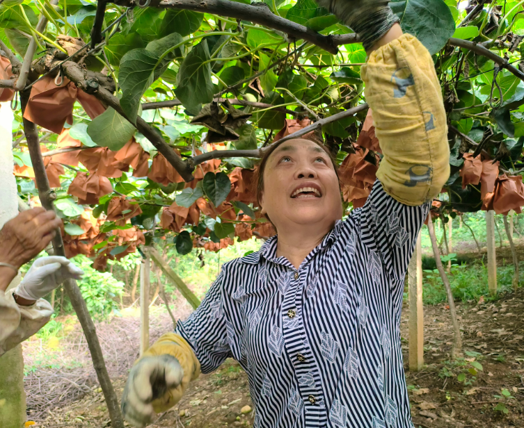 1755668026871613.png image.png