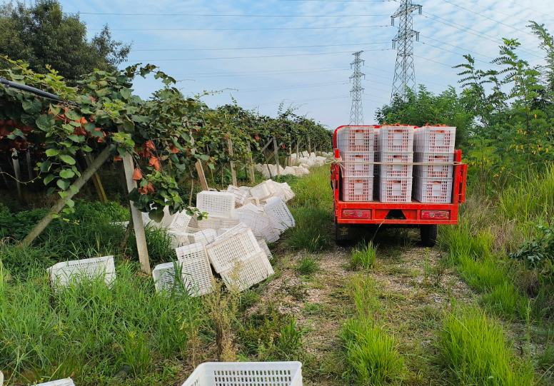 1755668054539109.png image.png