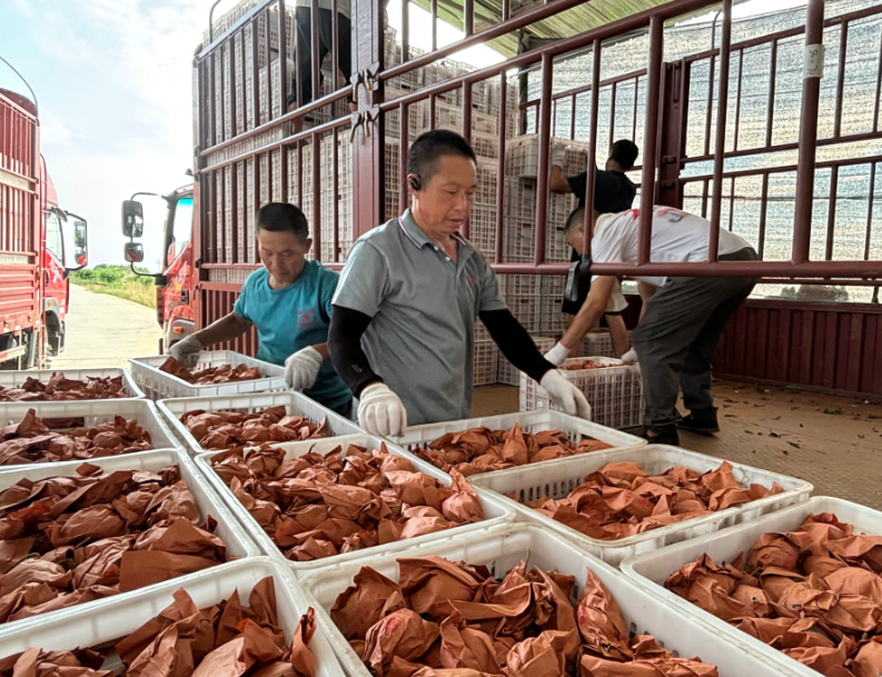 1755668070229066.png image.png