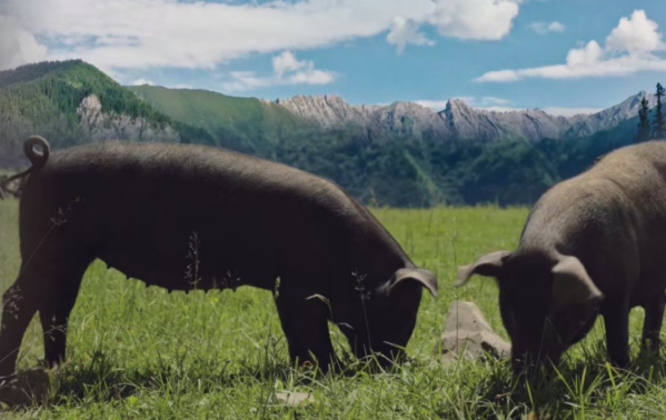 1760185644864084.png image.png