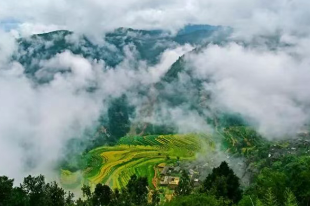 1761382741738136.png image.png