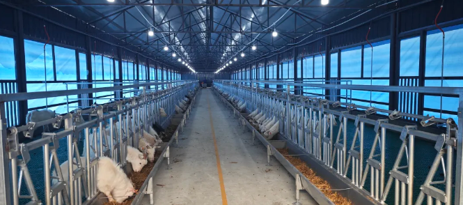 1761897373355442.png image.png