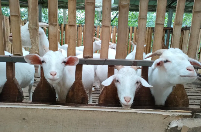 1761897384798452.png image.png