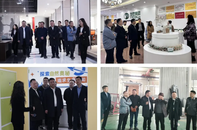 1762743203381413.png image.png