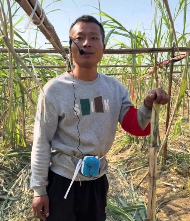 1763962894612130.png image.png