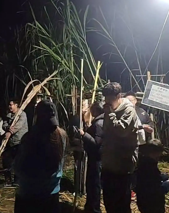 1763962920248200.png image.png