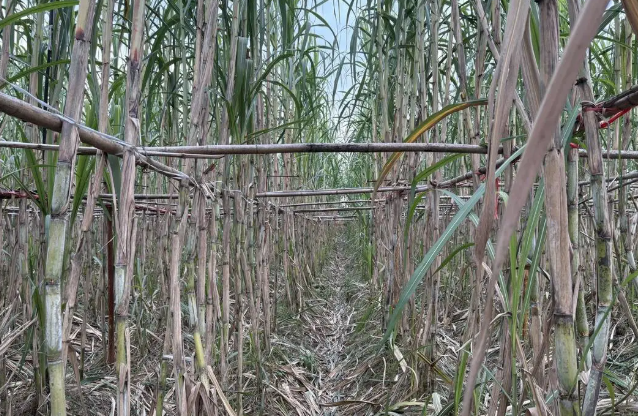 1763962941609039.png image.png