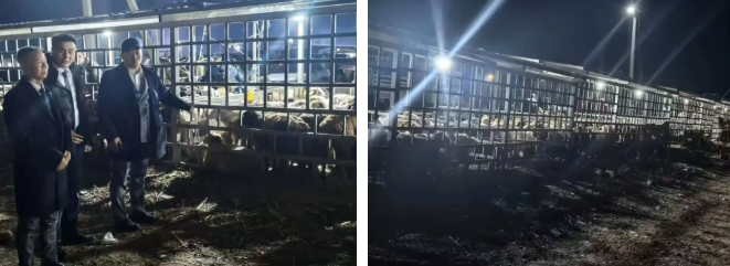 1764081181295039.png image.png