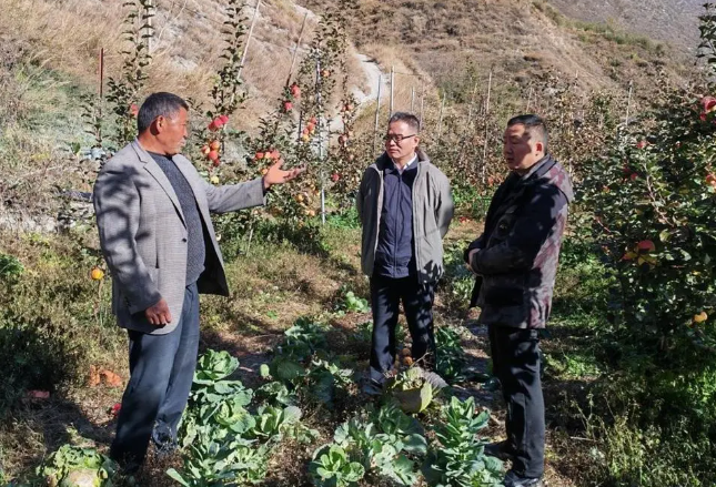 1764209783651310.png image.png