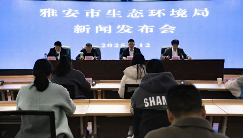 1766122772467417.png image.png