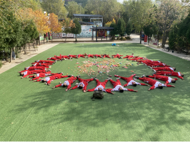 1766556838965639.png image.png