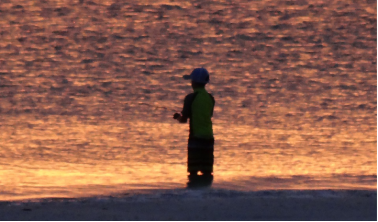 1770087058274277.png image.png