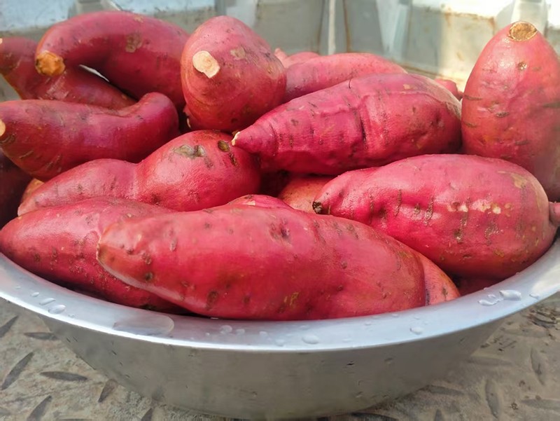 1768636753442880.jpg 微信图片_20260117153438_331_7393.jpg