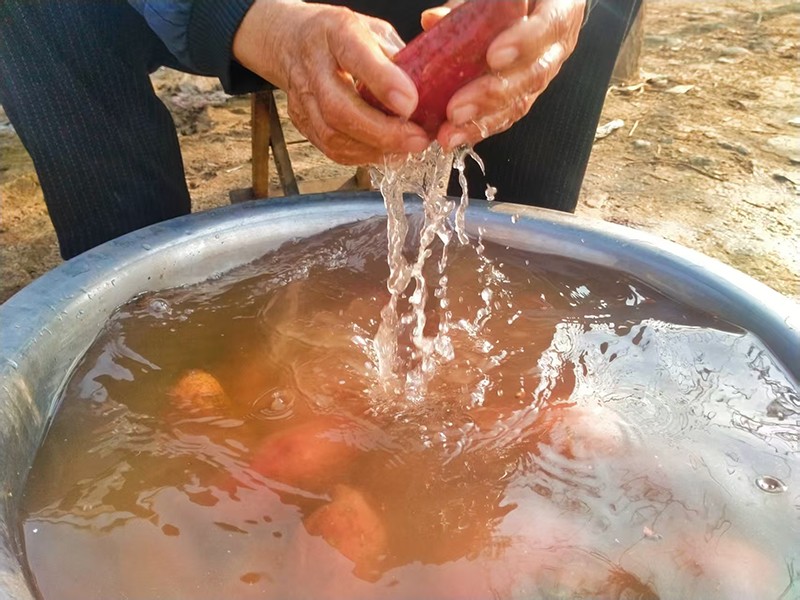 1768636772507094.jpg 微信图片_20260117153440_332_7393.jpg