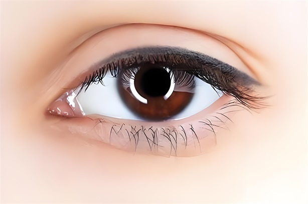 ˫��Ƥ����