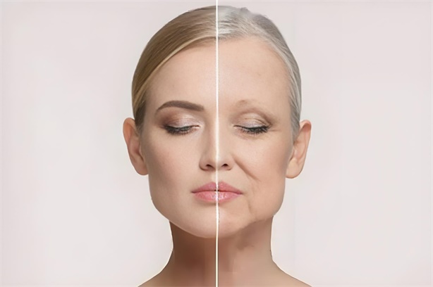 ����Ƥ��С��Ƥ������