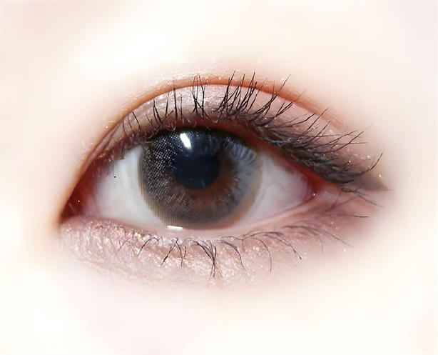 ֣�ݹ���˫��Ƥ