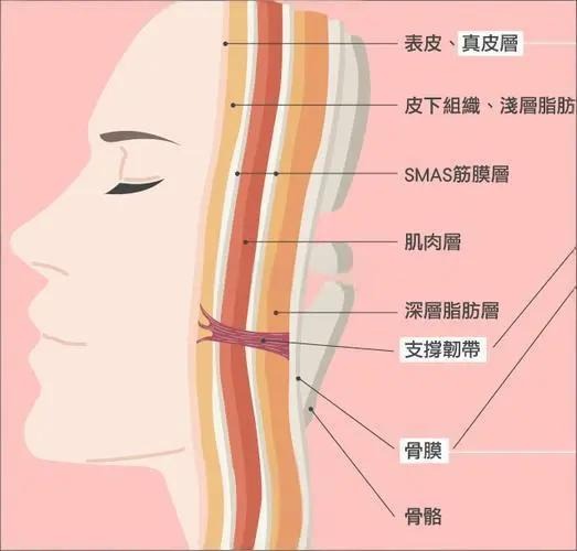 中面部抗衰专家 中面部抗衰专家