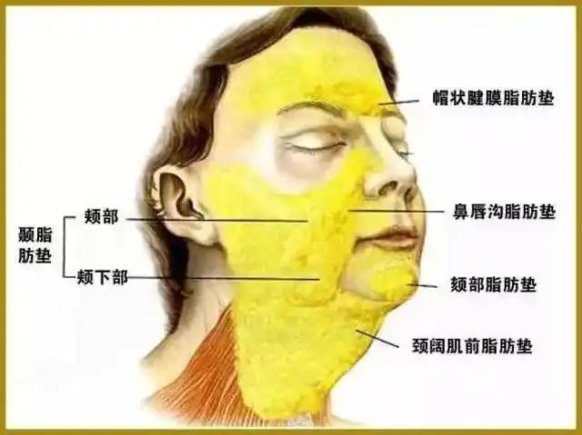 苹果肌复位 苹果肌复位