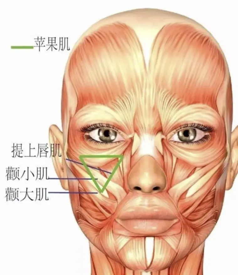 苹果肌提升 苹果肌提升