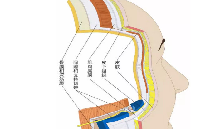苹果肌提升 苹果肌提升