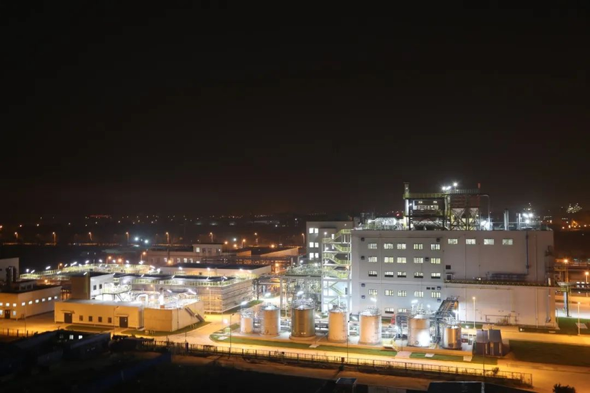 1747710807741844.png 10005.png