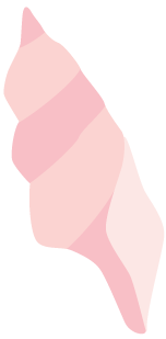 1747711572215497.png 10005.png