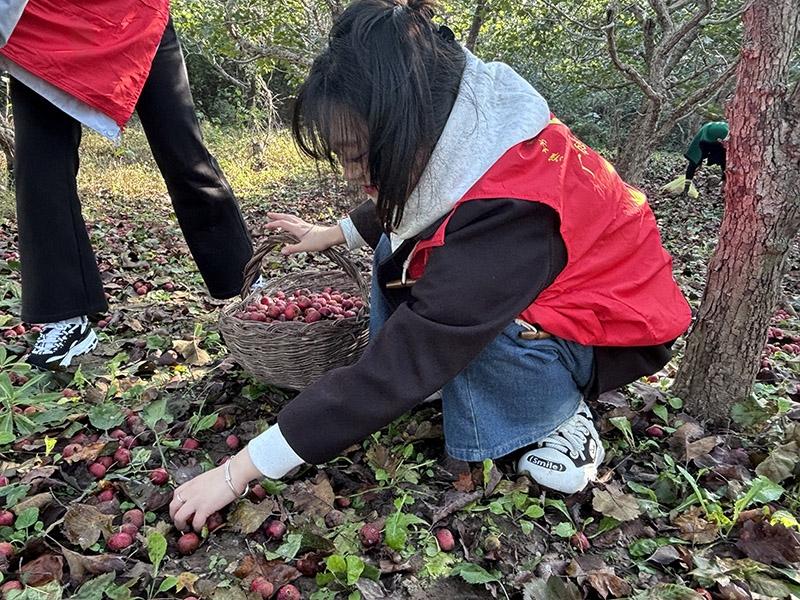 1761119785636563.jpg 微信图片_20251022132025_335_5.jpg