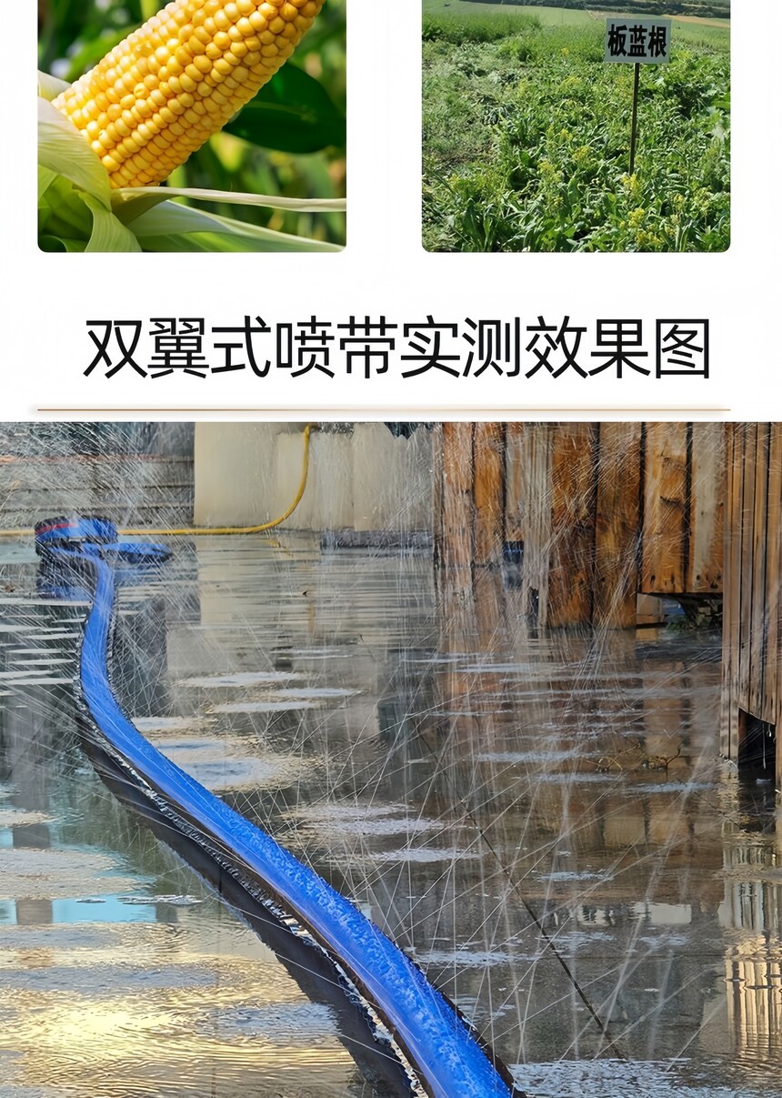 1754980860408669.jpg