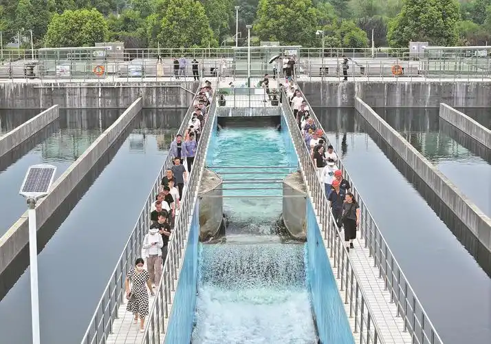 1748484904638092.png QQ图片20250529101450.png