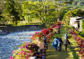 行走拉美手記丨“運河之國”探索“咖啡之路”