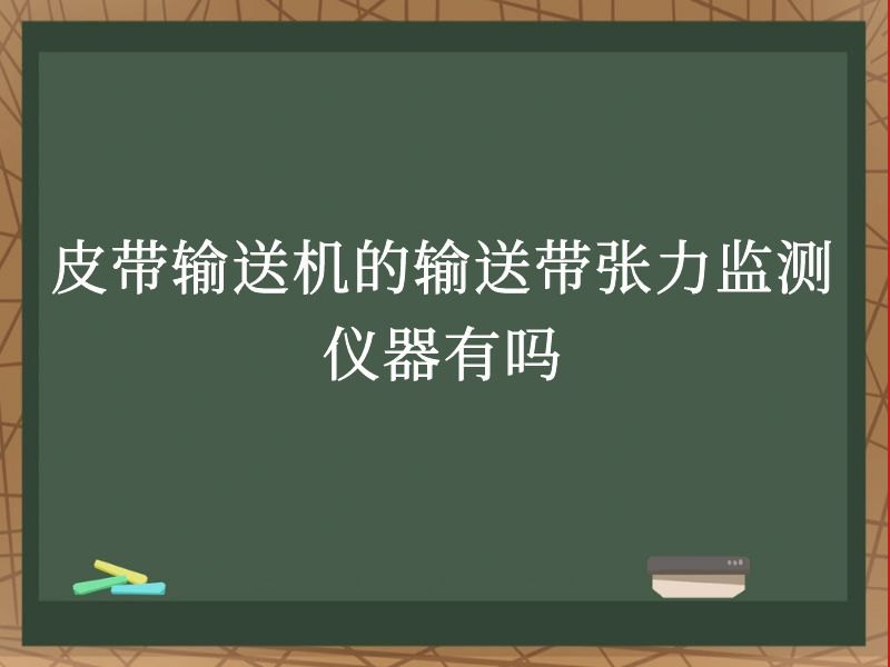 皮带输送机的输送带张力监测仪器有吗 皮带输送机的输送带张力监测仪器有吗