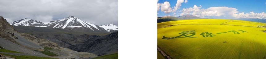 1750391090751540.png 1750391090751540.png