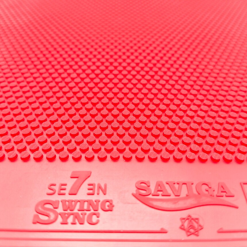 1758361680679672.jpg SAVIGA 7 (11).jpg