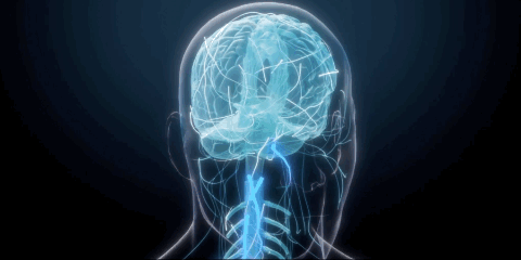 15fcdb90e9ef79e1a150e5e0ecdf86c5.gif