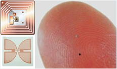 1751693423903490.png 图片 2.png