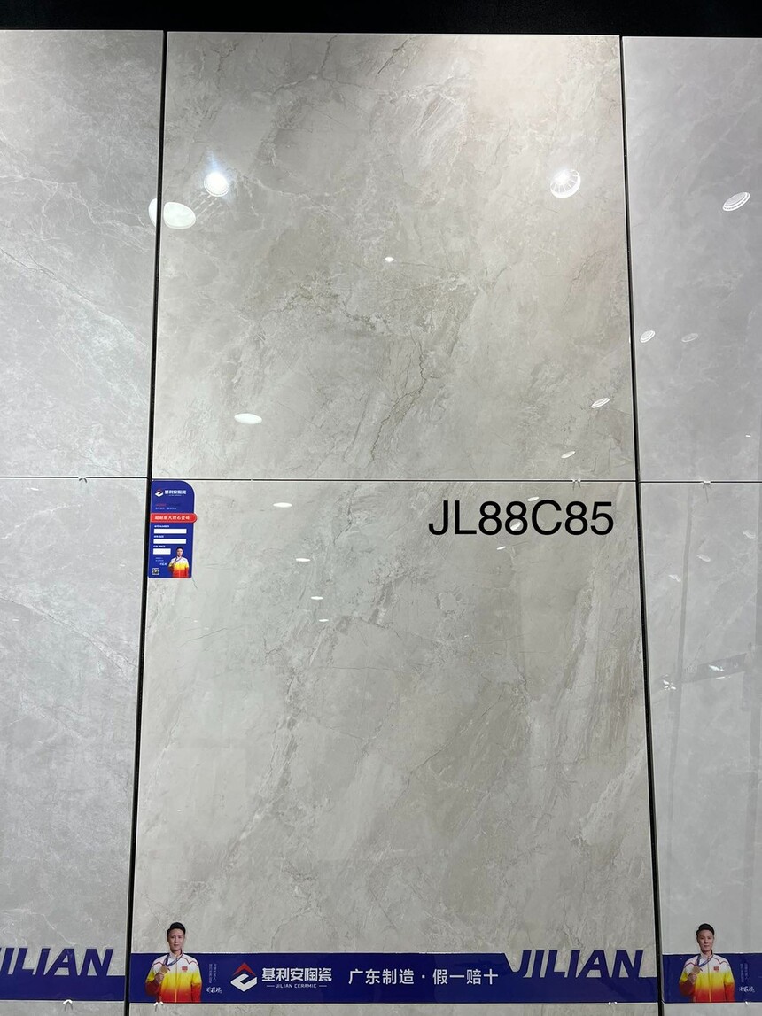 JL88C85.jpg