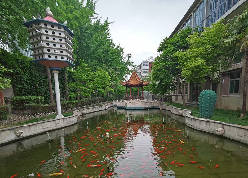 S^(q)-3.jpg