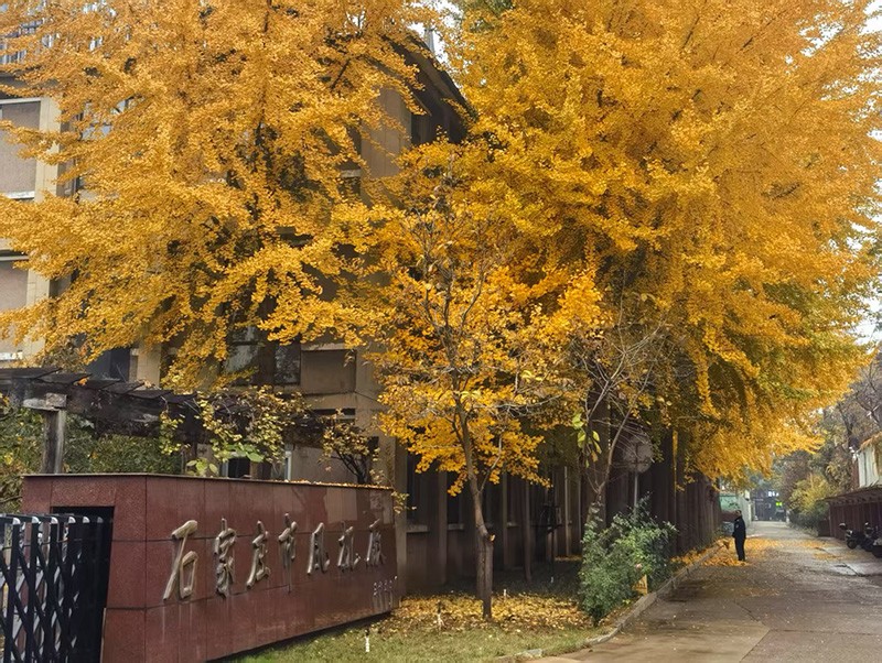S^(q)-4.jpg