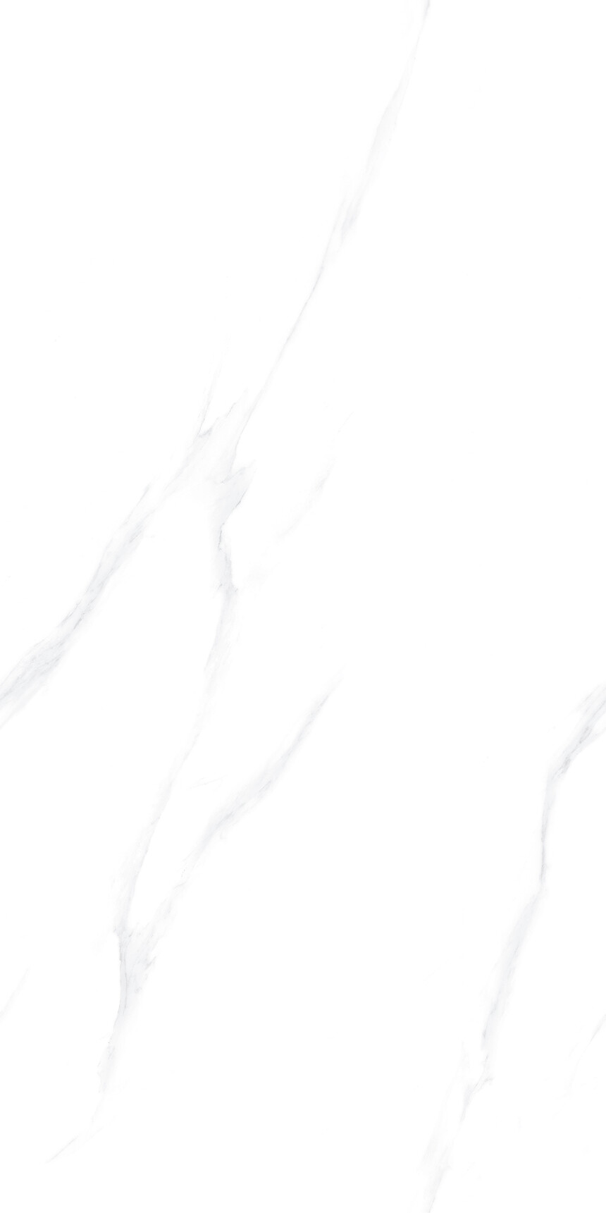 bc1ba17e4c7db1f9c6bb2f7ea373bdc8_1-24122ZUG1408.jpg