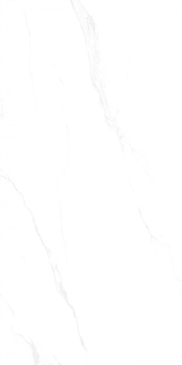 1757305366262541.jpg e340e0bf77828ee011bc76982bdf5209_1740023716722731.jpg